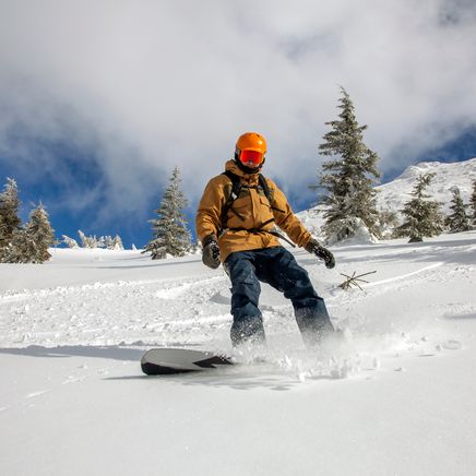 Snowboards