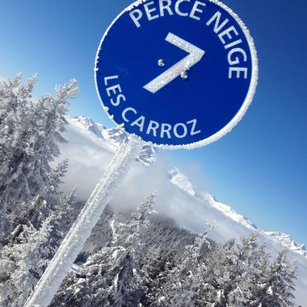 Panneau de ski bleu "Perce Neige Les Carroz" avec flèche, givré, sur fond de montagnes enneigées et sapins sous un ciel bleu.